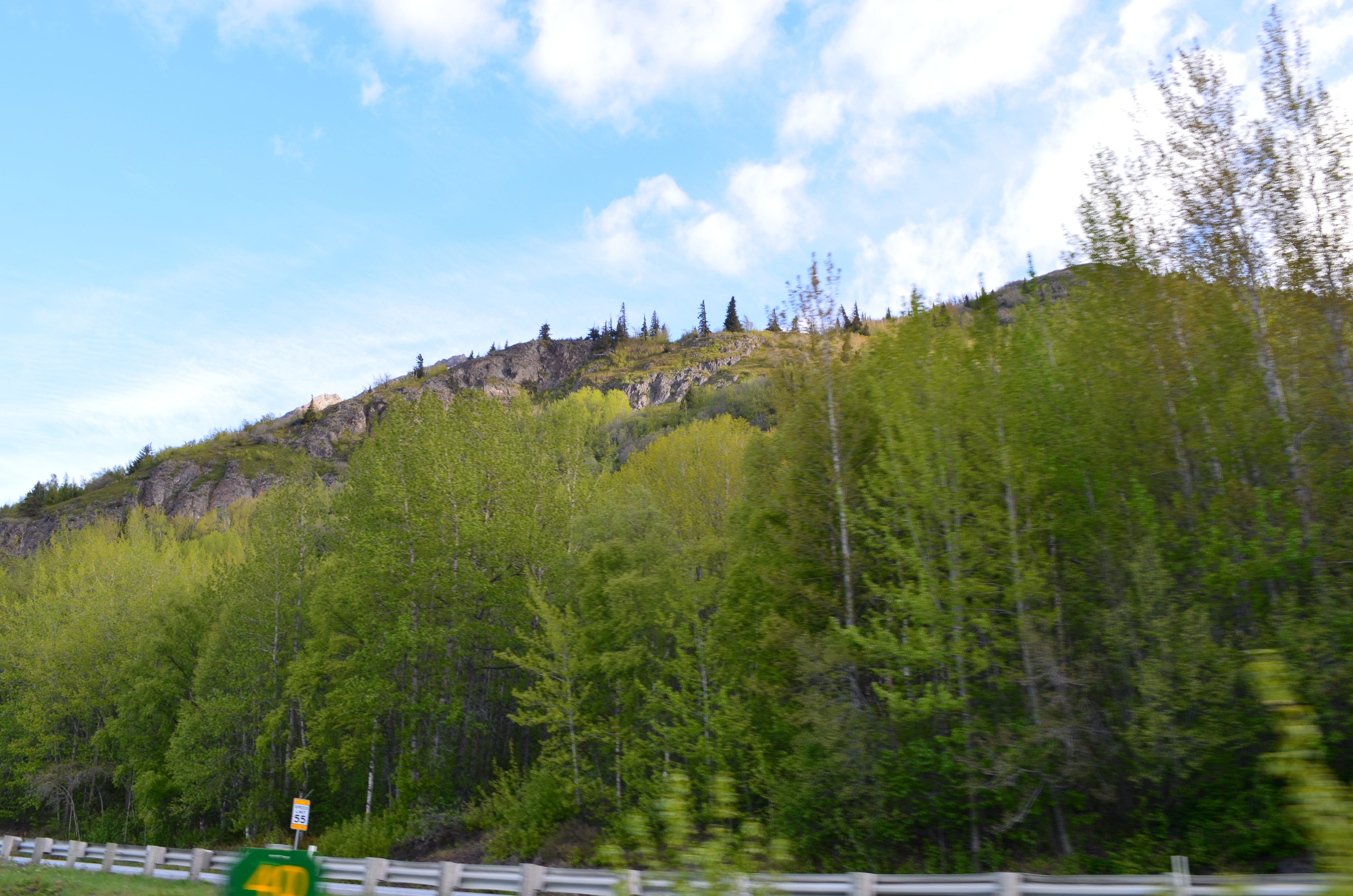 ./2017/08 - Alaska Cruise/05 - Train to Seward/DSC_0426.JPG